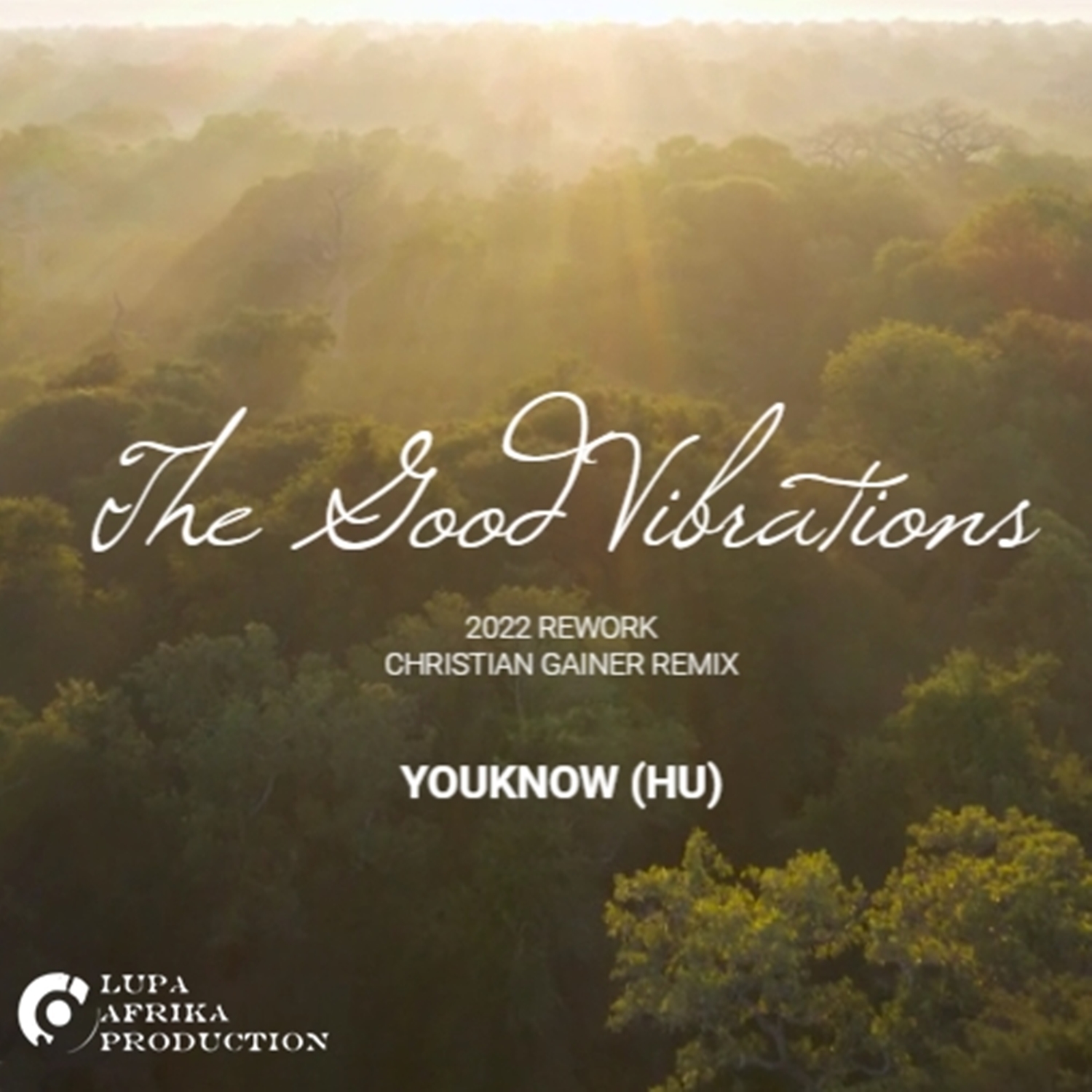 THE GOOD VIBRATIONS